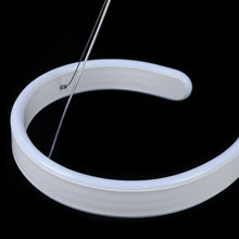 Load image into Gallery viewer, Contemporary Acrylic LED Swirl Shaped Light Fixture
