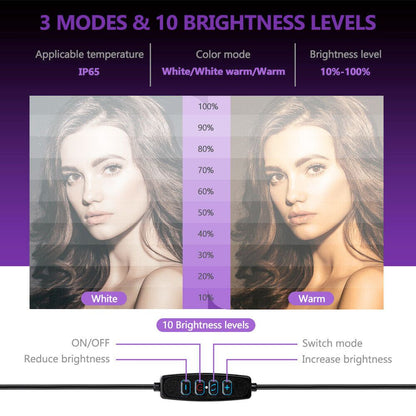 Content Creator Podcast Livestream 3 PCS Set