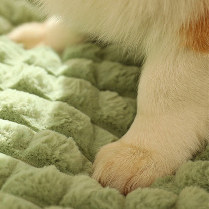 Pet Bed with Attached Pillow