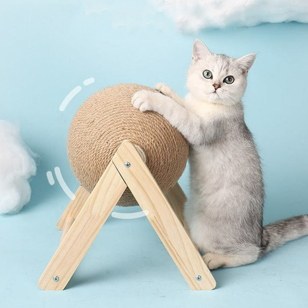 Purr-fect Warm Playtime 3 PCS Set