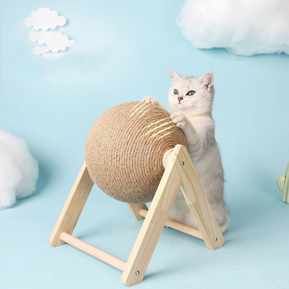 Purr-fect Warm Playtime 3 PCS Set