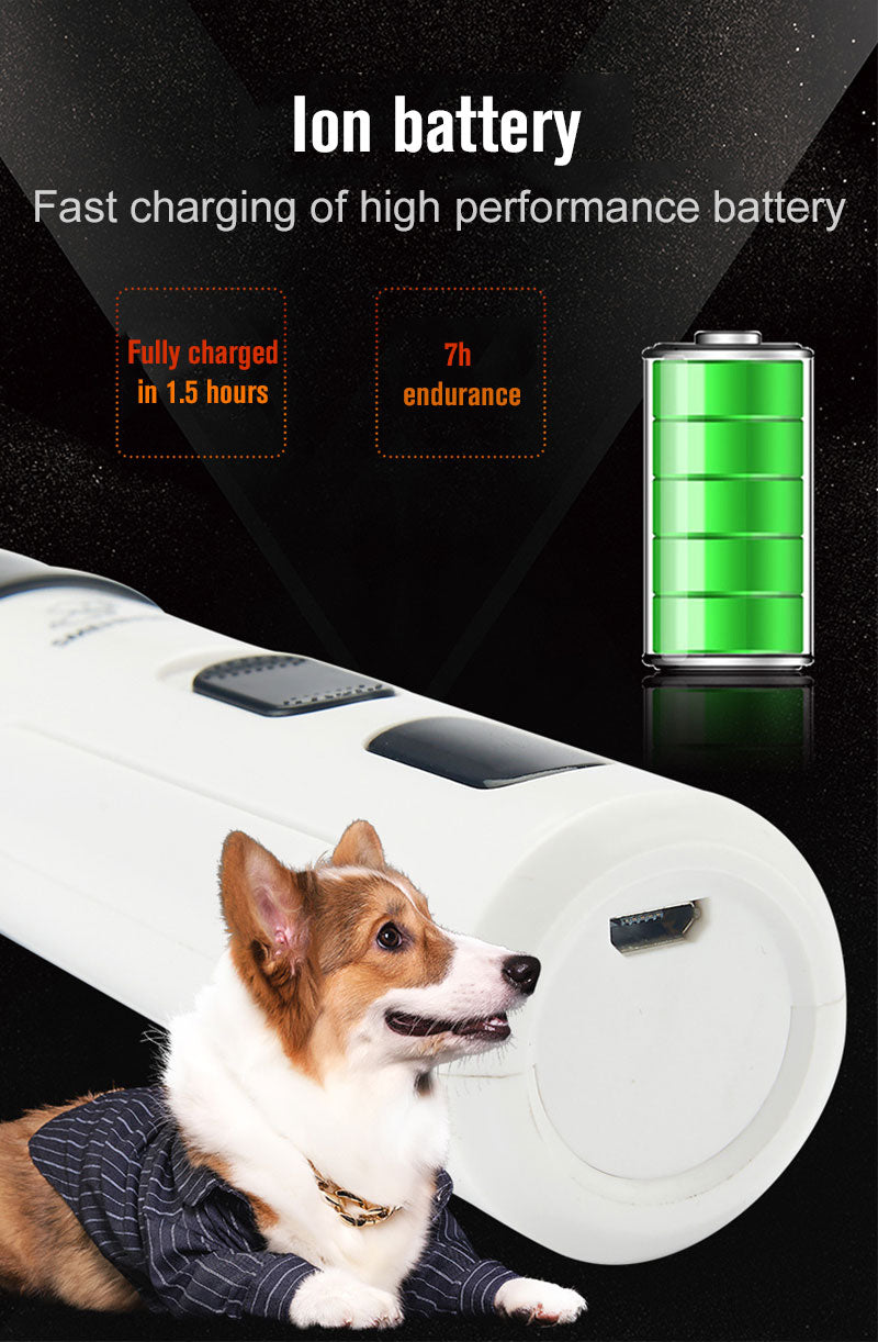 Paw-fect Grooming Trio - 3 PCS Pet Essential Kit