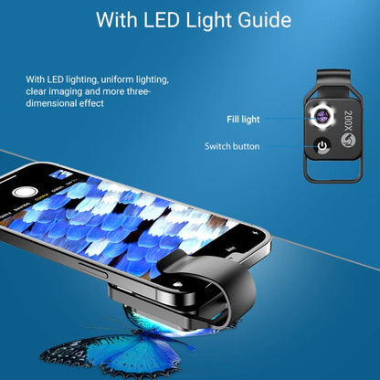 Content Creator Pro Glow Kit - 3 PCS Set