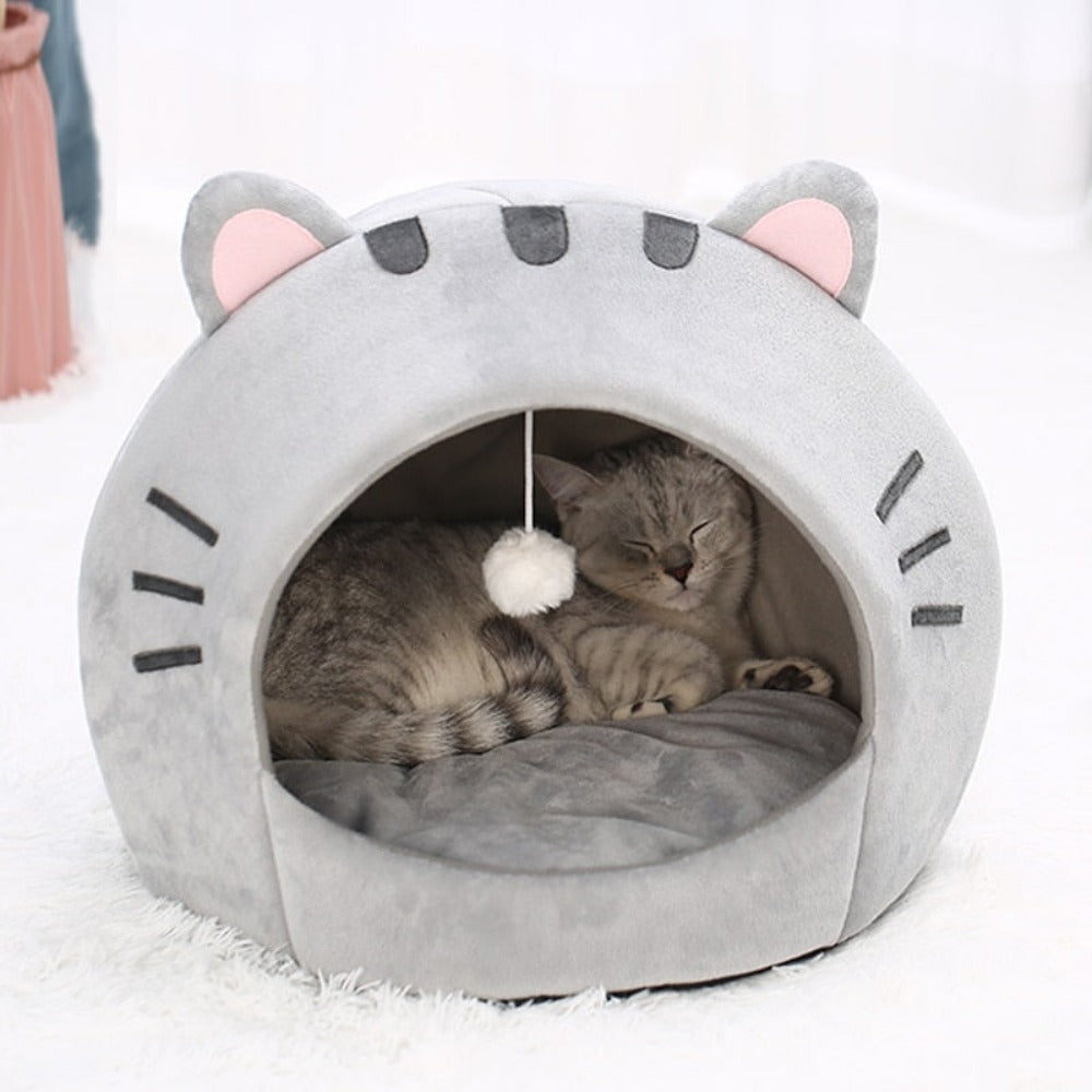 Adorable Cat Mouth Theme Pet House