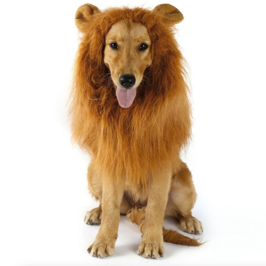 Lion Theme Dog Wig