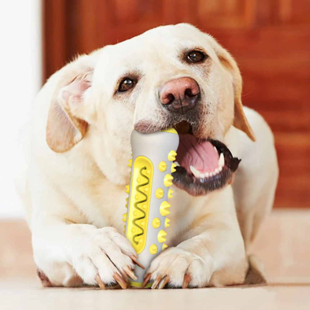 Two Tone Chewing Toy for Dogs