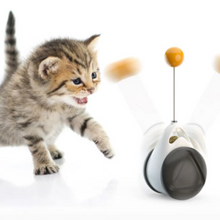 Load image into Gallery viewer, Cats Tumbler Swinging Ball
