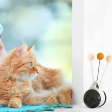 Load image into Gallery viewer, Cats Tumbler Swinging Ball
