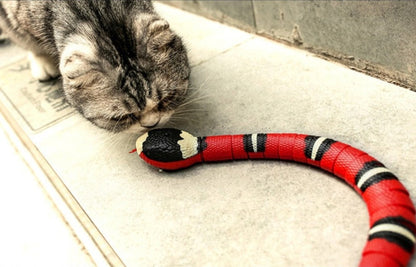 Electronic Snake Cat Toy