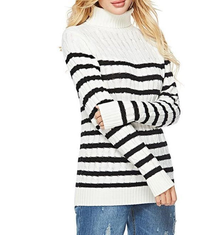 Womens Striped Slim Fit Turtle Neck Sweater