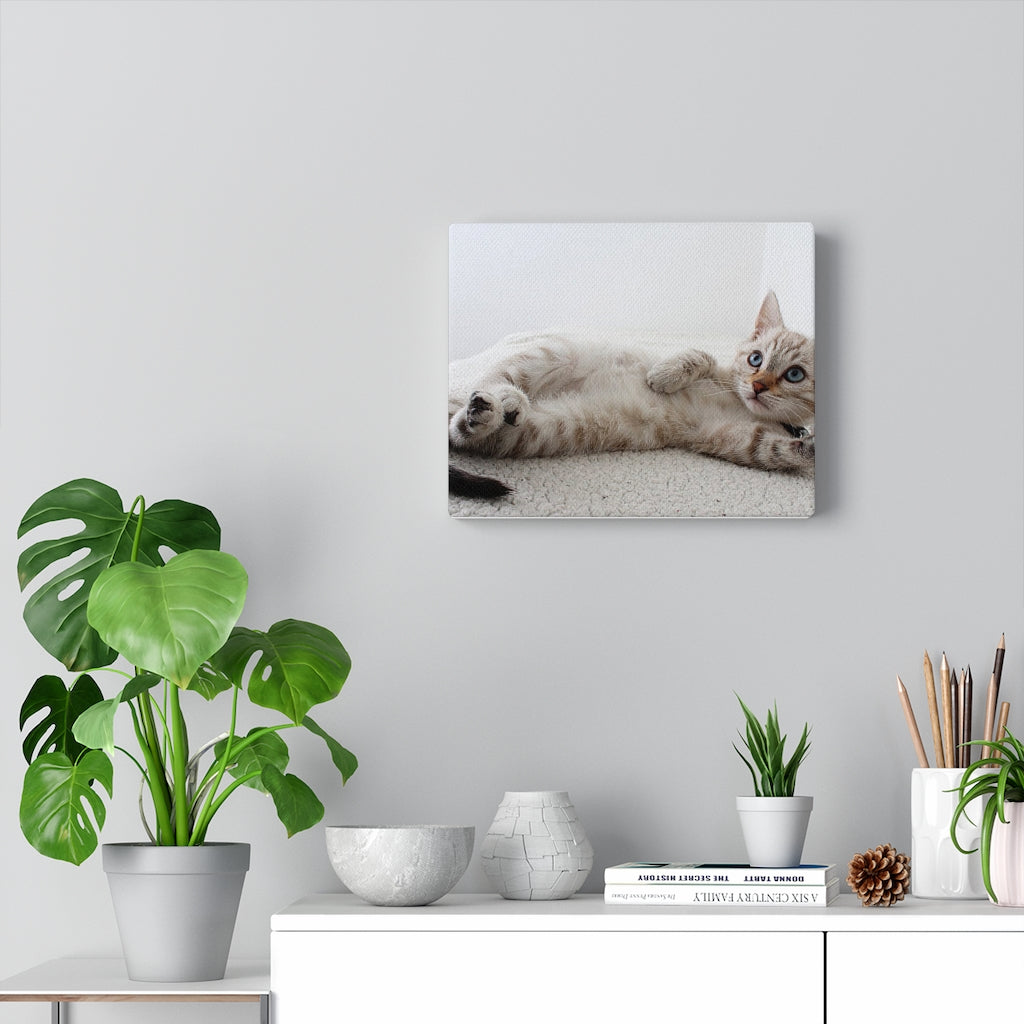 Adorable Cat Canvas Gallery Wall Art
