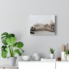 Load image into Gallery viewer, Adorable Cat Canvas Gallery Wall Art
