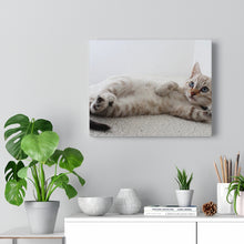 Load image into Gallery viewer, Adorable Cat Canvas Gallery Wall Art
