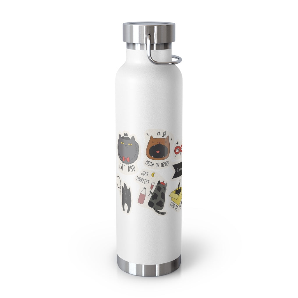 Everyday is Cat Day Thermos Bottle 22oz