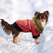 Load image into Gallery viewer, Waterproof Vegan Leather Jacket for Dog with Faux Fur Collar
