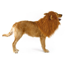 Load image into Gallery viewer, Lion Theme Dog Wig
