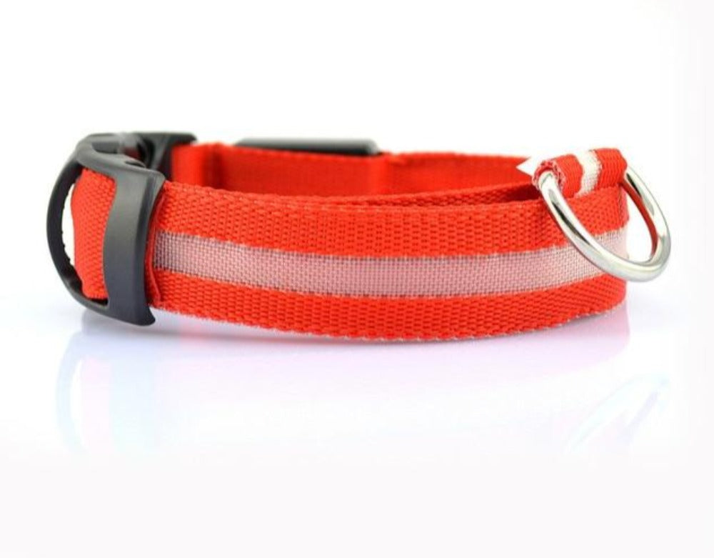 Nylon LED Dog Collar - 5 Pieces Set