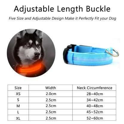 Nylon LED Dog Collar - 5 Pieces Set