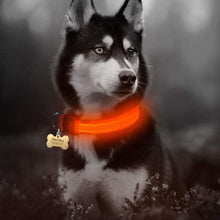 Load image into Gallery viewer, Nylon LED Dog Collar - 5 Pieces Set
