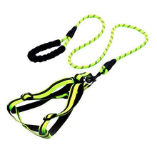 Load image into Gallery viewer, Comfortable Dog Leash with Padded Handle
