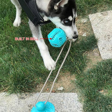 Load image into Gallery viewer, Dogs Chewing Toy with Suction Cup
