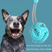 Load image into Gallery viewer, Dogs Chewing Toy with Suction Cup
