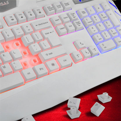 Ninja Dragons Y6X USD LED Backlight Multimedia Gaming Keyboard
