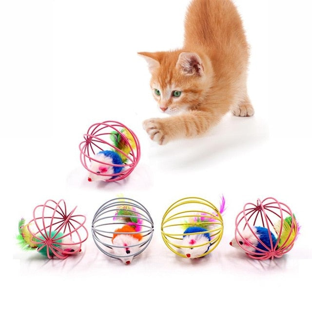 Funny Rolling Mouse Cage Cat Toy 5 pcs set