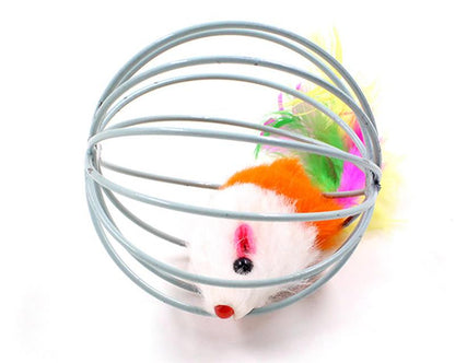 Funny Rolling Mouse Cage Cat Toy 5 pcs set